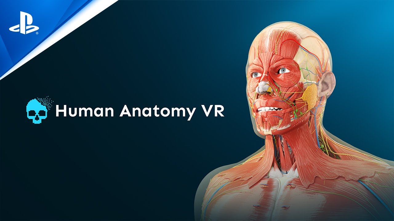 Virtual anatomy