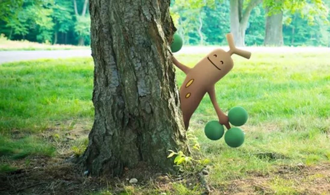 Pokémon Playgrounds