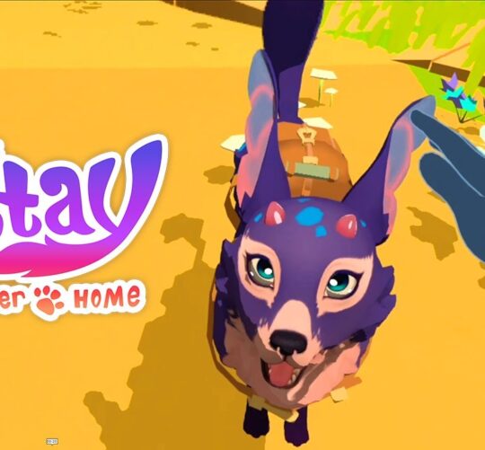 Stay: Forever Home
