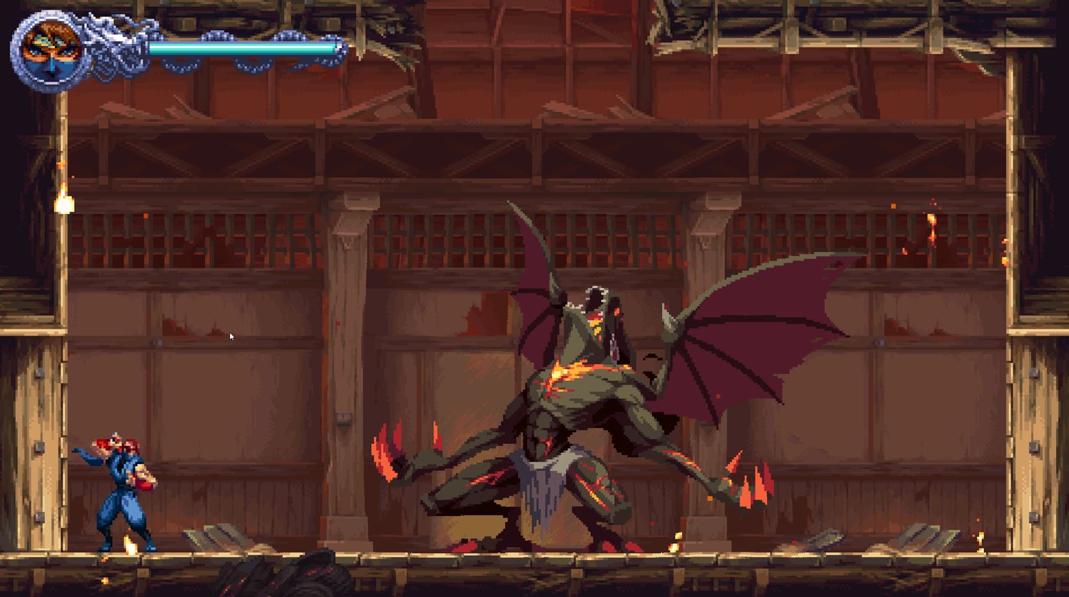 NINJA GAIDEN